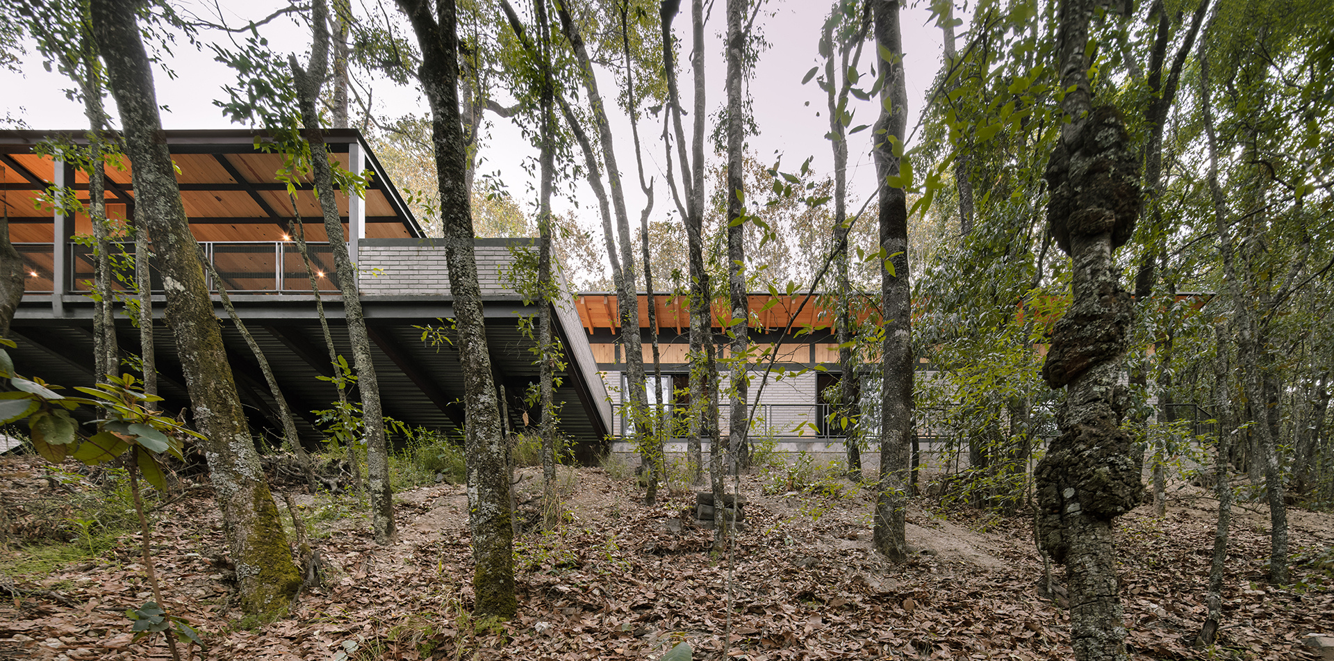 Cabaña en el Bosque — 4