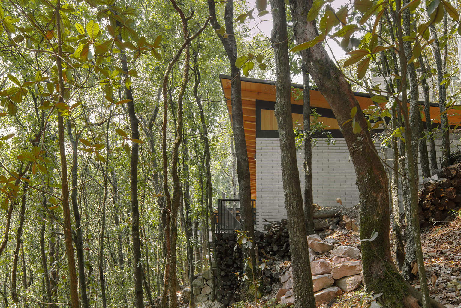 Cabaña en el Bosque — 5
