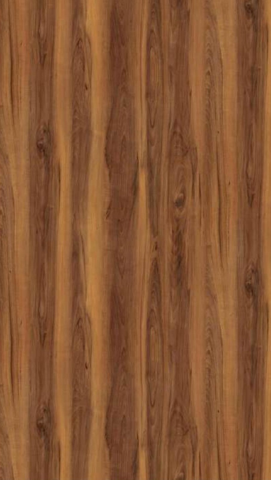 Madera parota