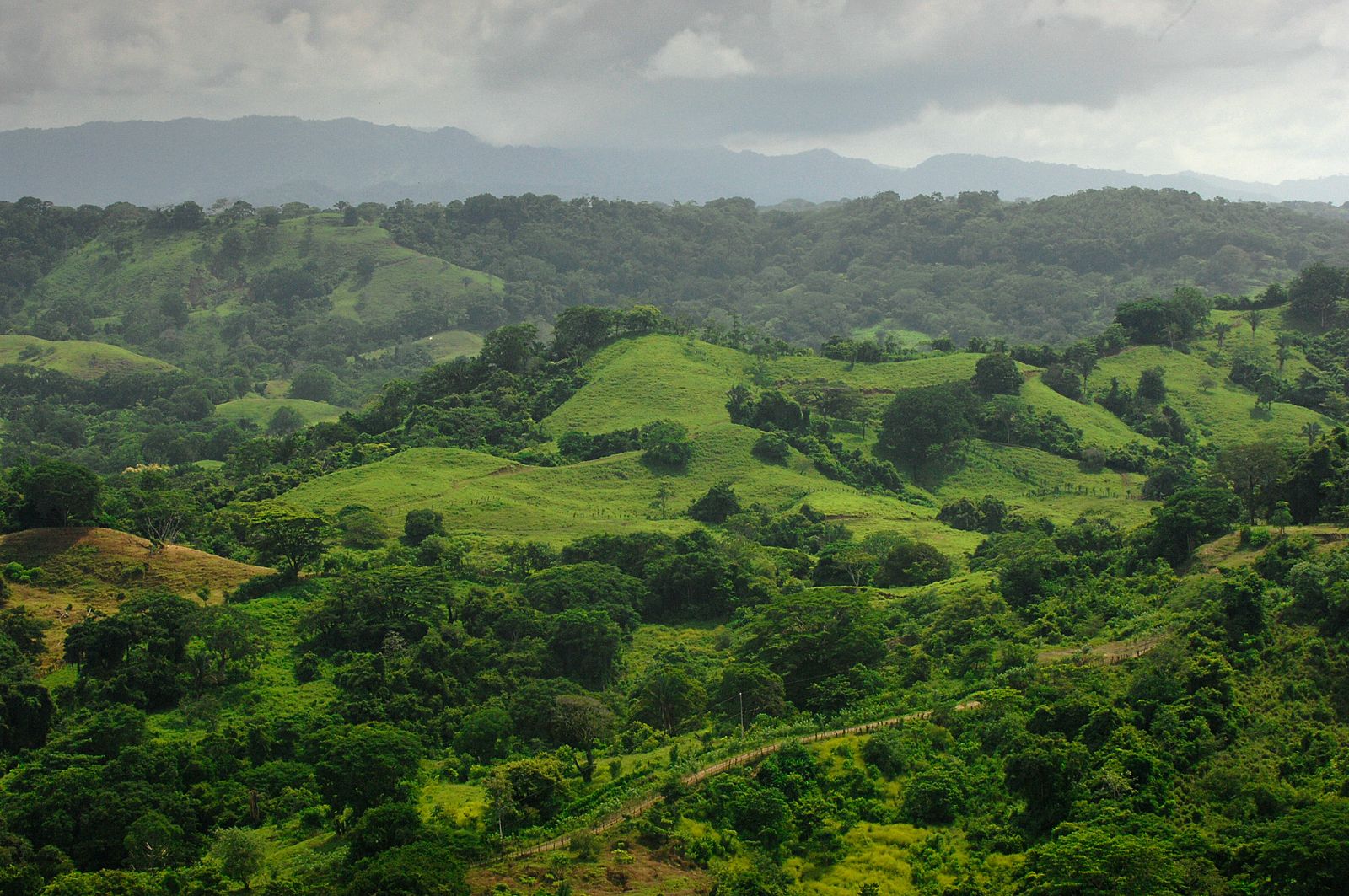 Colinas verdes de la Península de Nicoya